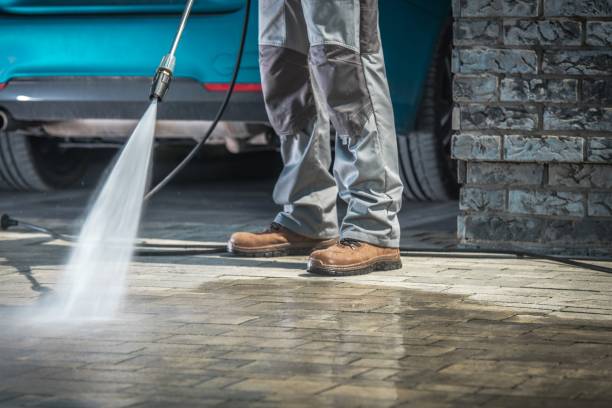 Best Pre-Holiday Cleaning  in Ocean View, DE